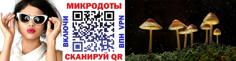 продажа наркотиков  Котельнич  Псилоцибиновые грибы Cubensis 